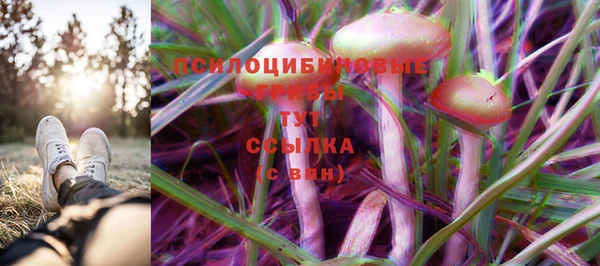 a pvp Балахна