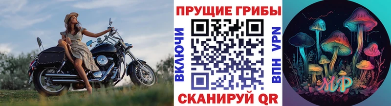купить Лабытнанги Галлюциногенные грибы GOLDEN TEACHER